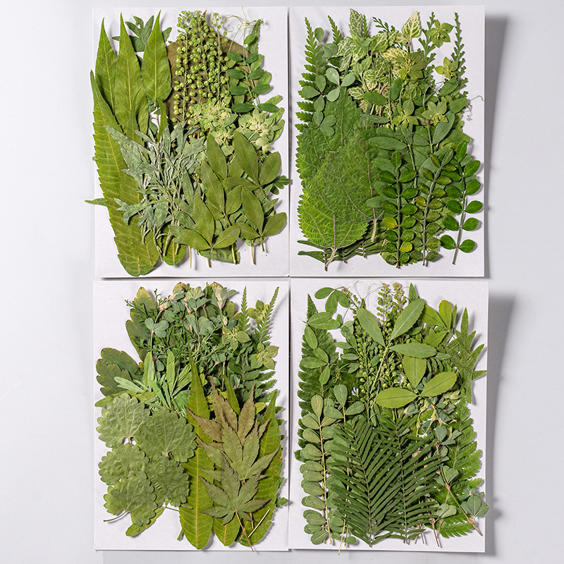1 conjunto de 35 peças de flor - Resin Art Baby avaliação e preço