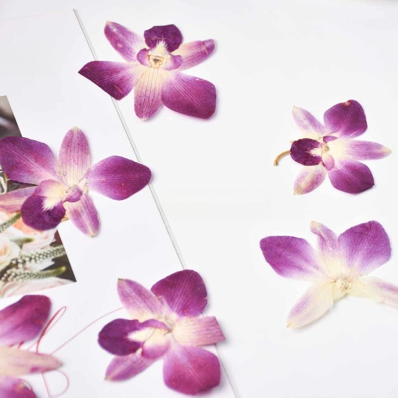 4 peças, Flores de Orquídea Bo - Resin Art Baby avaliação e preço