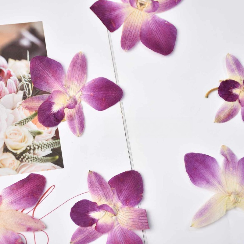 4 peças, Flores de Orquídea Bo - Resin Art Baby avaliação e preço