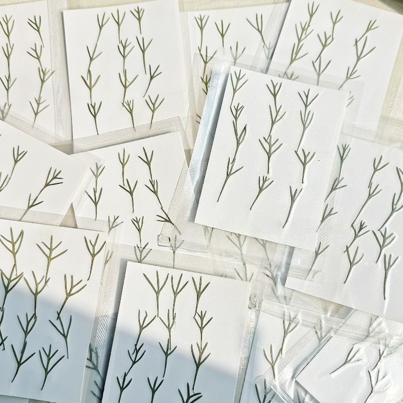 24 peças, Folhas de Achillea P - Resin Art Baby avaliação e preço