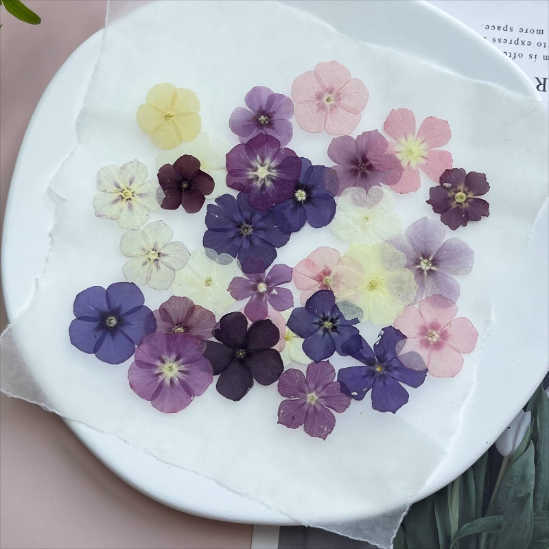12 peças, nicho semi-transpare - Resin Art Baby avaliação e preço